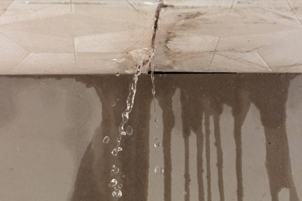 Professional Structural Drying technician working in Troy, MI